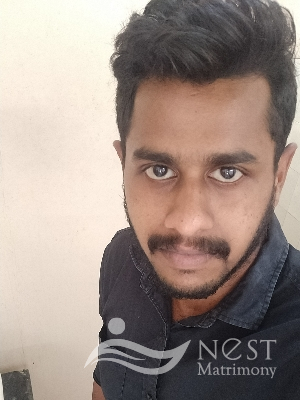 Nitheesh krishnan